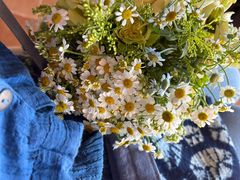 -璞真扎染博物馆