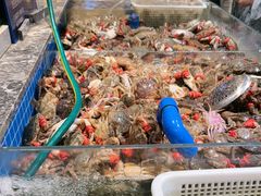 -一方渔歌蒸汽海鲜自助(文化路万达广场店)