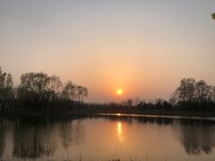 -东郊湿地公园