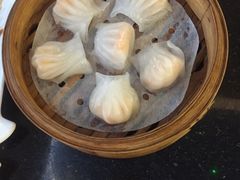 -云中小雅