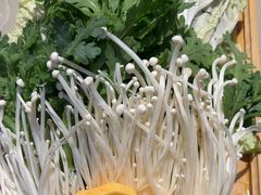 -蝎王府羊蝎子(虎坊桥总店)