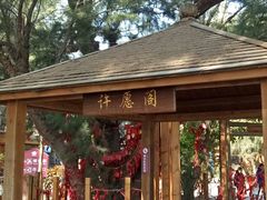 -北海金海湾红树林生态旅游区