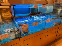 -慈溪白金汉爵大酒店