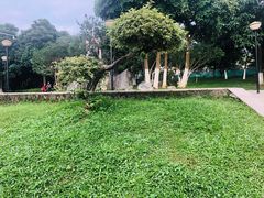 -松山湖南湖湾露营营地