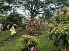 -中国科学院西双版纳热带植物园