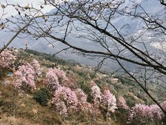 -九皇山景区
