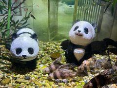 -常州海昌海洋探索馆