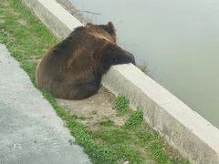-上海野生动物园