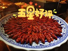 芝士炬龙虾值-深圳温德姆至尊酒店·大堂吧·户外花园