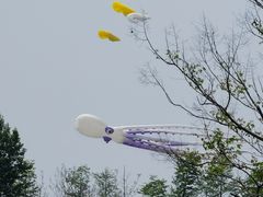-荷兰花海