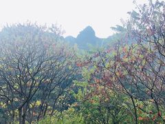 -云岫谷自然风景区