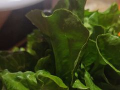 -吴老幺火锅(金龙店)