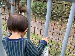 -深圳野生动物园