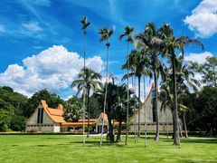 -中国科学院西双版纳热带植物园