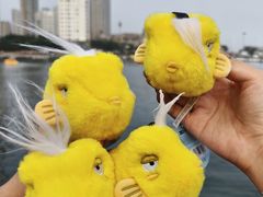 -大连圣亚海洋世界