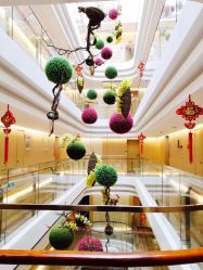 -爱弥儿月子中心(省医院店)