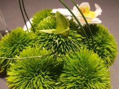 -海立阁海鲜江浙菜(漕河泾印象城店)