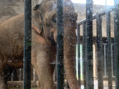 -石家庄市动物园