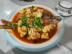 -煲来饱去冷水鱼