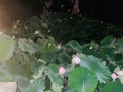 -四川大学(华西校区)