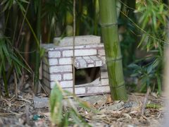 -苏州河梦清园环保主题公园