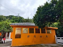 -南丹山森林王国