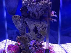 -太平洋海底世界