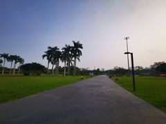 -万绿园