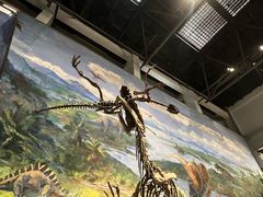 -自贡恐龙博物馆