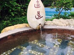 -金孔雀温泉旅游度假村