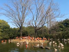 -上海野生动物园