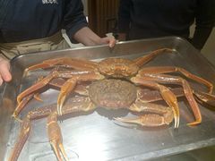 -綱元·海鲜豆捞(明州里店)