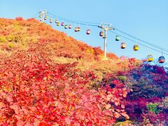 -周口店坡峰岭风景区