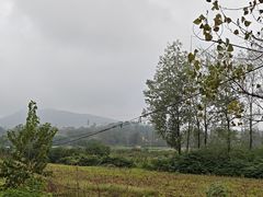 -习家池