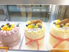 -大麦嘉动物奶油生日蛋糕(军分区新建北路店)