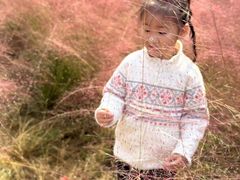 -昆山城市生态森林公园