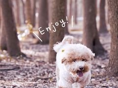 -广富林郊野公园