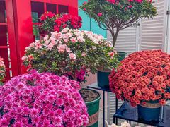 -云溪植物园