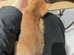 -星巴克臻选(沈阳大悦城店)