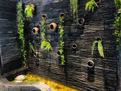 -一只烧鸡公(解放碑店)