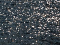 -天鹅湖体育公园