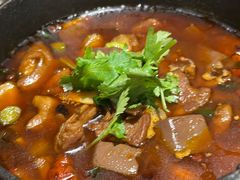 -铁公鸡·四川料理(天环广场店)