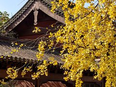 -钱王祠