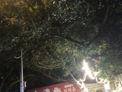-金海椒罐罐鲢鱼(东方桂苑店)