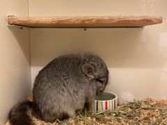 -龙猫仔乐园(惠福东路店)