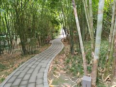 -望江楼公园