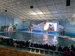 -蓬莱欧乐堡海洋极地世界