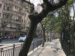 -徐家汇源景区-衡山坊