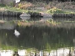 -新江湾城公园