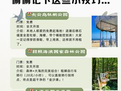 -日照海滨国家森林公园